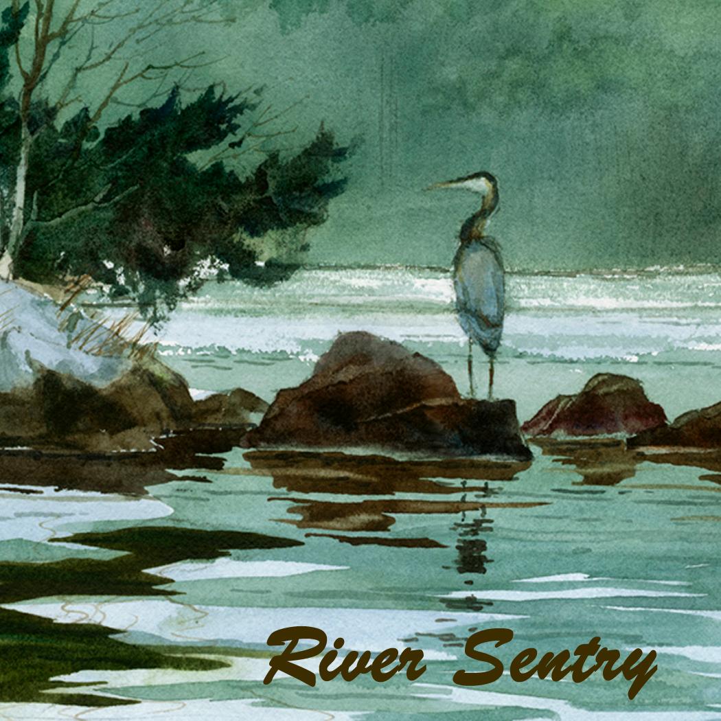 River Sentry Coaster